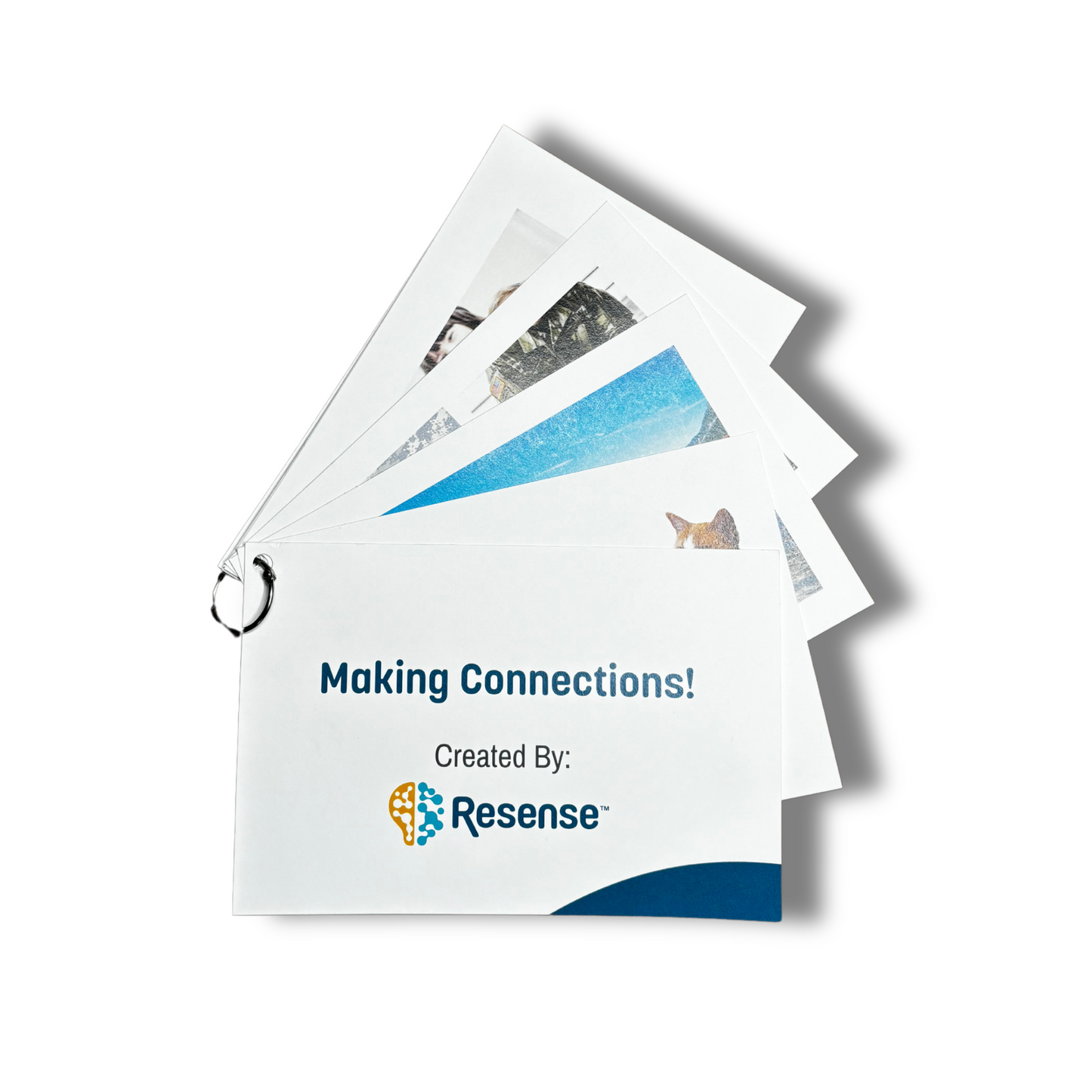 Making Connections Flashcard Activity